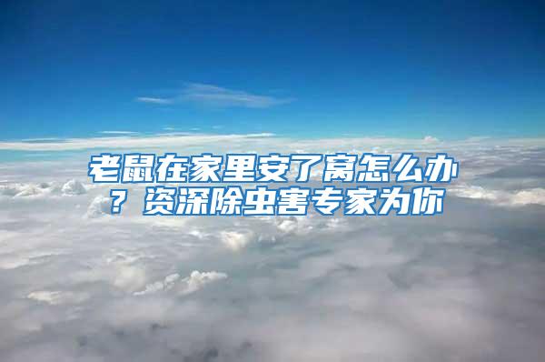 老鼠在家里安了窩怎么辦？資深除蟲害專家為你