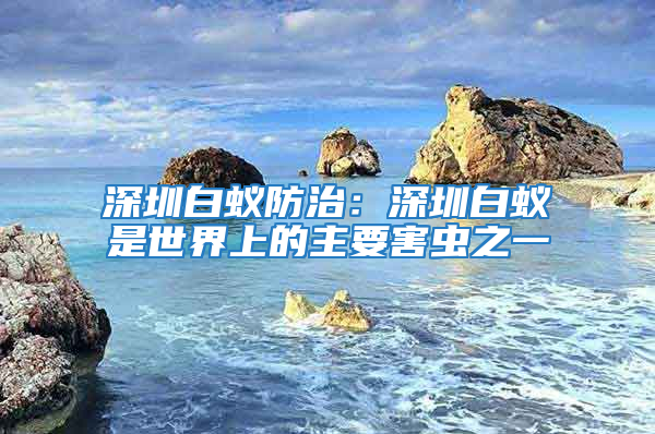 深圳白蟻防治：深圳白蟻是世界上的主要害蟲之一