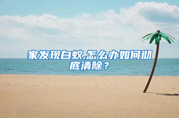 家發(fā)現(xiàn)白蟻,怎么辦如何徹底清除？