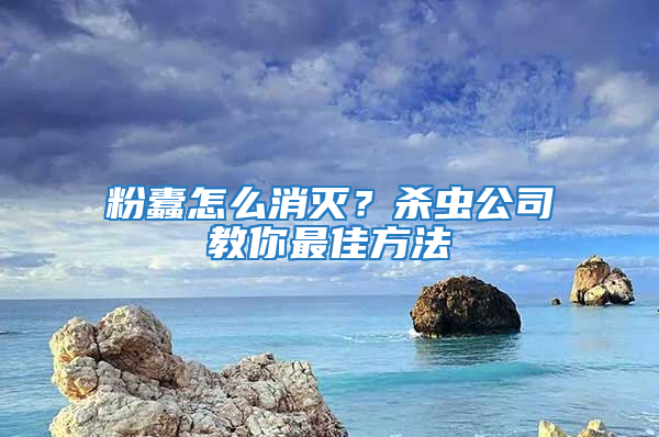 粉蠹怎么消滅？殺蟲(chóng)公司教你最佳方法