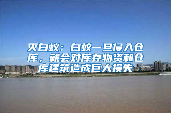 滅白蟻：白蟻一旦侵入倉庫，就會對庫存物資和倉庫建筑造成巨大損失