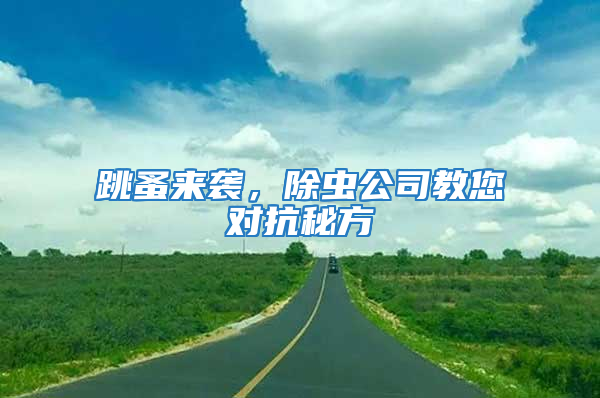 跳蚤來(lái)襲，除蟲(chóng)公司教您對(duì)抗秘方