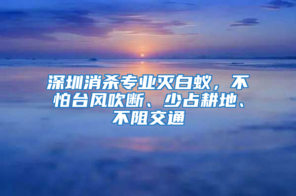 深圳消殺專業(yè)滅白蟻，不怕臺風吹斷、少占耕地、不阻交通