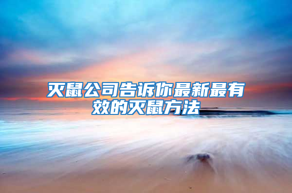 滅鼠公司告訴你最新最有效的滅鼠方法