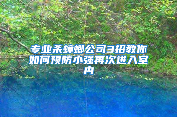 專業(yè)殺蟑螂公司3招教你如何預(yù)防小強(qiáng)再次進(jìn)入室內(nèi)