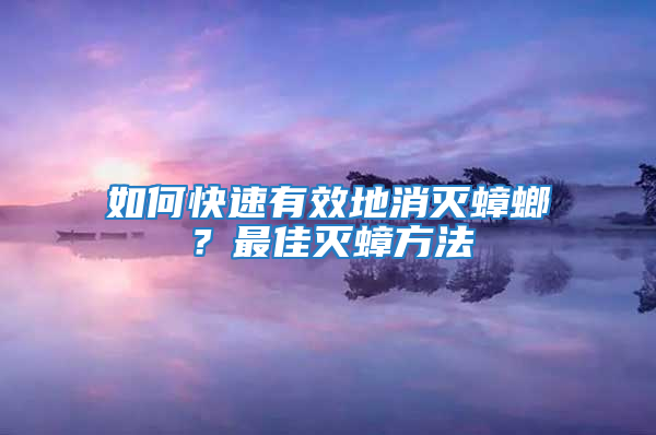 如何快速有效地消滅蟑螂？最佳滅蟑方法