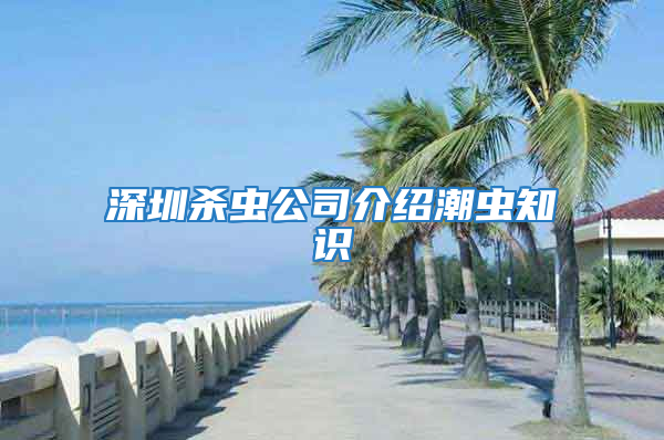 深圳殺蟲(chóng)公司介紹潮蟲(chóng)知識(shí)