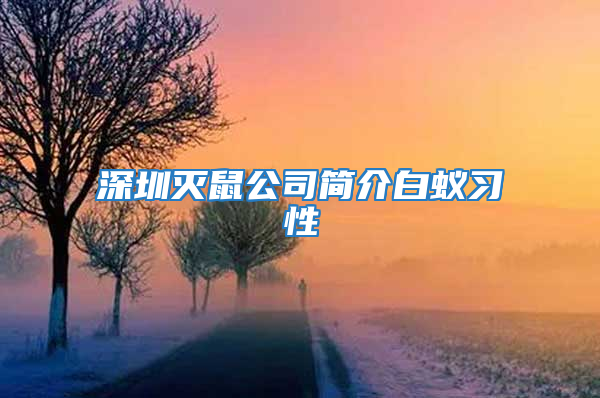 深圳滅鼠公司簡(jiǎn)介白蟻習(xí)性