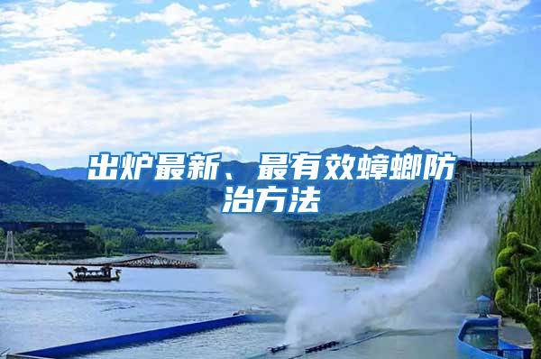 出爐最新、最有效蟑螂防治方法