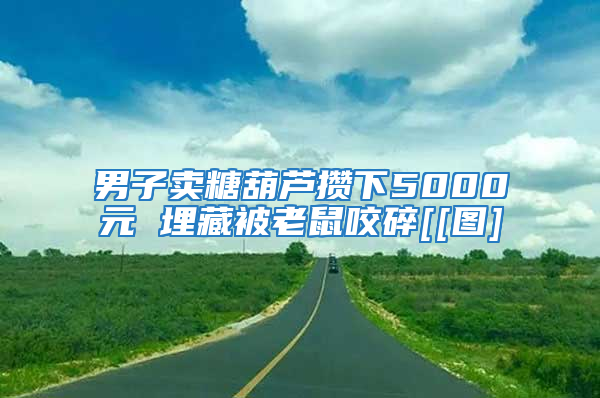 男子賣糖葫蘆攢下5000元 埋藏被老鼠咬碎[[圖]