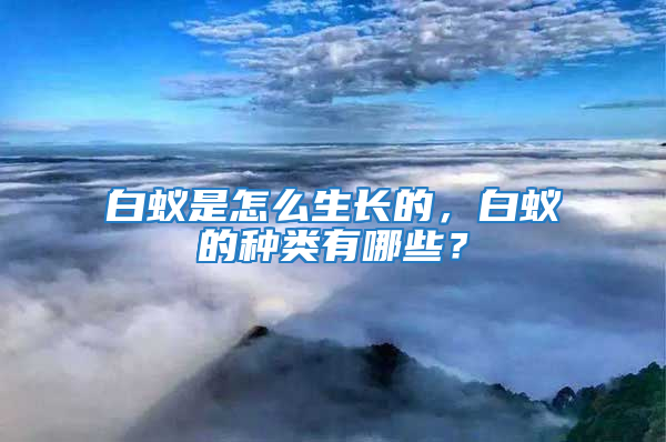 白蟻是怎么生長的，白蟻的種類有哪些？