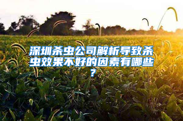 深圳殺蟲公司解析導(dǎo)致殺蟲效果不好的因素有哪些？