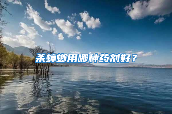 殺蟑螂用哪種藥劑好？