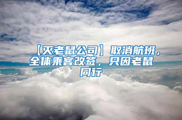 【滅老鼠公司】取消航班，全體乘客改簽，只因老鼠同行