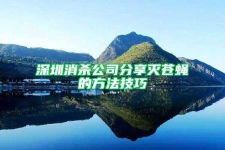 深圳消殺公司分享滅蒼蠅的方法技巧